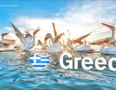 Buceo en el Lago Kerkini: Una aventura turística imprescindible en Bulgaria