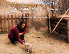 Descubre el encanto de Montana: turismo y viaje por la ciudad