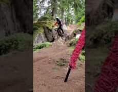 Descubre la emocionante ruta de descenso en bicicleta de montaña en Pamporovo, la joya del turismo en Bulgaria