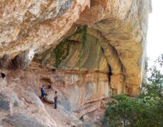 Explora el Monasterio de Troyan: Una joya turística en las Montañas Balkánicas