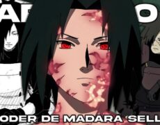 Explorando la Reserva Natural de Madara: Un destino imperdible para los amantes del turismo y la naturaleza