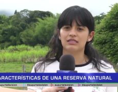 Turismo en Persenk: Descubre la increíble Reserva Natural en tu próximo viaje