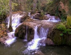 Explora la Reserva Natural de Ropotamo: Un destino imperdible para los amantes del turismo y la naturaleza