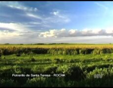 Descubre la Reserva de la Biosfera de Srebarna: Un destino turístico imprescindible para tu próximo viaje