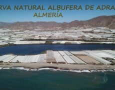 Descubre la belleza natural de Belasitsa: Un viaje imprescindible para los amantes del turismo de naturaleza