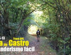 Descubre las maravillas del turismo en el Parque Nacional de Vitosha: senderismo y aventura en Bulgaria