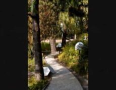 Descubre el lujo y la comodidad en el Hotel Kempinski Zografski en Sofía, Bulgaria: tu próximo destino de turismo
