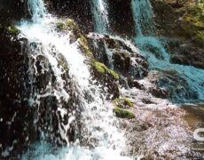 Descubre la belleza natural del Parque Nacional de Strandzha: una aventura turística imperdible