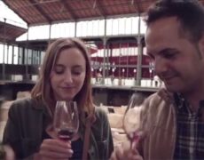 Descubre el turismo del vino en Bulgaria: Experiencia única probando vinos locales en una bodega