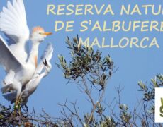 Descubre la belleza natural de Persina: Guía de turismo para recorrer la reserva