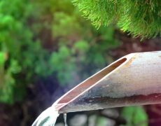 Descubre la relajación en las aguas termales de Devin: Un destino turístico imperdible para tu próximo viaje