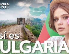 Descubre la historia natural de Bulgaria en el Museo de Historia Natural de Sofía: una experiencia imperdible de turismo en Bulgaria