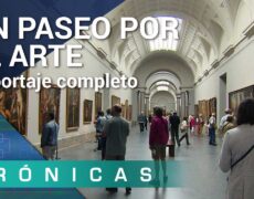 Descubre la fascinante historia de Sofía en el Museo de Historia Natural: una parada imprescindible en tu viaje de turismo