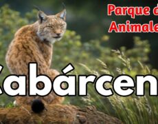 Descubre la belleza natural de Vucha: Turismo y viaje a la Reserva Natural