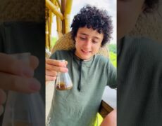 Explorando la Reserva Natural de Sakar: Un destino imperdible para los amantes del turismo y la naturaleza