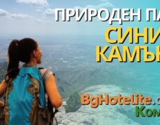 Explorando la Reserva Natural de Sinite Kamani: Un destino imprescindible para los amantes del turismo y la naturaleza